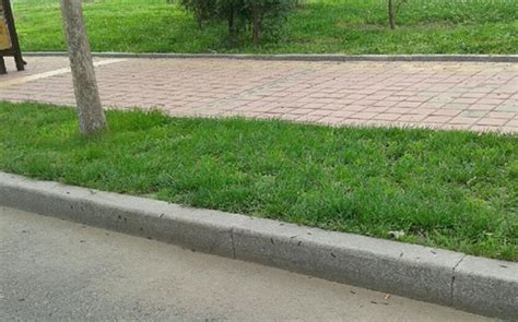 50米有多远图解100米有多远图解2022已更新今日热点