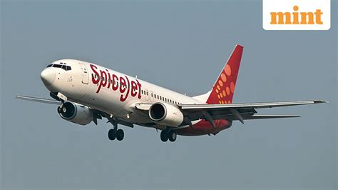 Latest IPO News & Market Insights | IndiaIPO