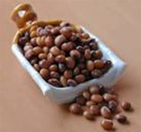 FataFut.in - Vijayawada's First Online Mega Hyper Mart. Kandulu 1Kg