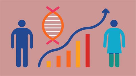Age Chart with DNA A sidebyside comparison of a DNA strand with a chart ...
