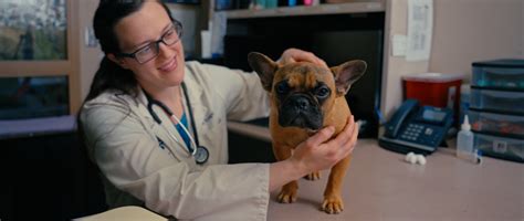 Sioux Falls Area Humane Society - Sioux Falls Area Humane Society