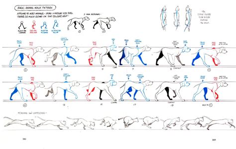 Image result for Walk Keyframes