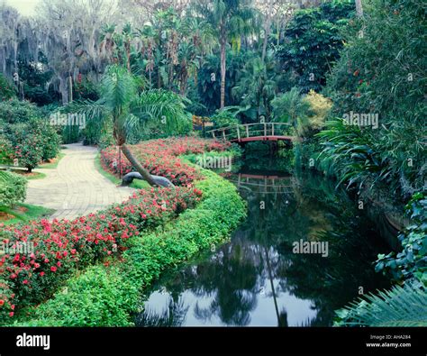 Florida cypress gardens theme park hi-res stock photography and images ...