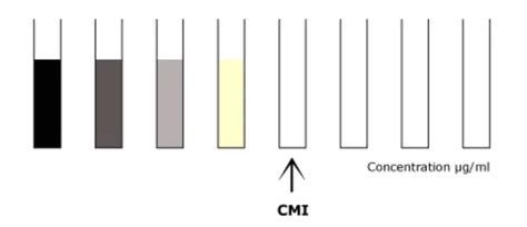 Détermination de CMI en milieu liquide