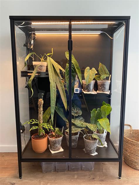 Image result for Rudsta Hack