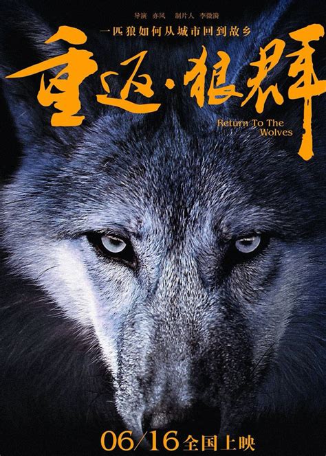 重返·狼群(Return Wolves)-电影-腾讯视频