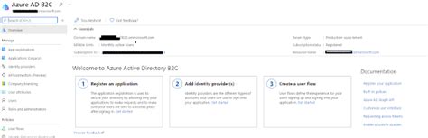 Image result for Azure Active Directory B2C Tenant Native Client