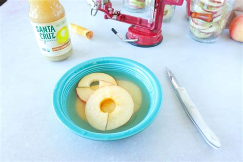 How To Freeze Dry Apples At Home -6 Tips For Success - Hollis Homestead