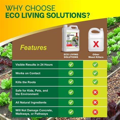 Best Organic Weed Killers - Eco Living Solutions Pet Safe Weed Killers ...