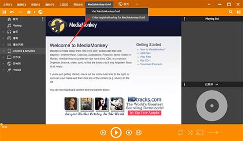 MediaMonkey Tutorial 的图像结果