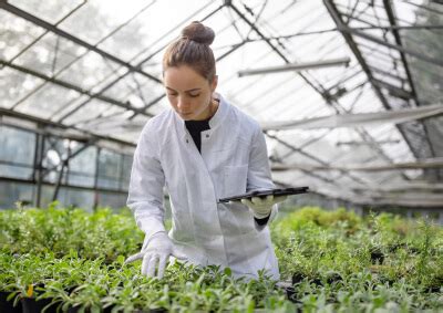 Image result for Using ADP Payroll