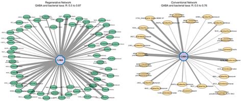 Meta-Omics Analyses of Conventional and Regenerative Fermented ...