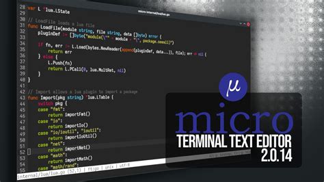 Image result for How to Use Micro Text Editor