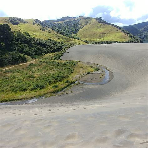 GIANT DUNE (2026) All You Need to Know BEFORE You Go (with Photos ...