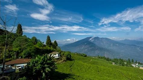 Complete Travel Guide to Pelling, Sikkim