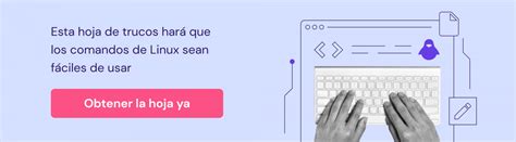 Comando Find En Linux 的图像结果