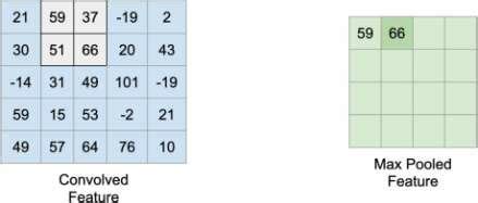 Science Max Pool 的图像结果