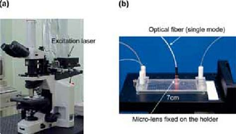 Image result for What Is Computer TLM
