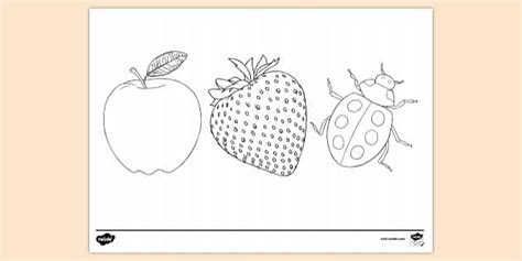 The Colour Red Colouring Page | Colouring Pages - Twinkl