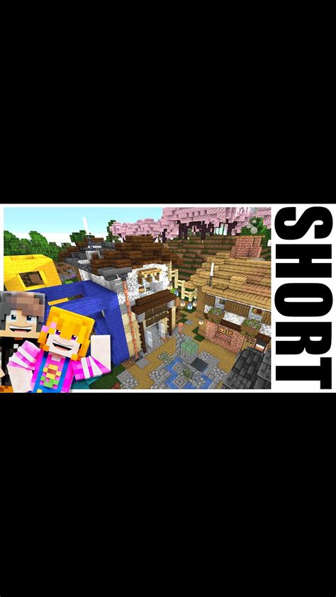 Image result for Groccery Store Minecraft
