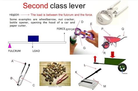 Image result for Class 2 Lever