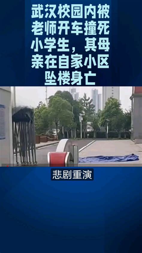 武汉“校内被车撞死小学生，”其母亲在自家小区坠楼身亡-度小视