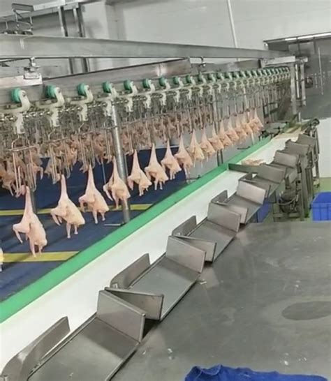 屠宰设备肉鸡流水线 山东潍坊 宏强-食品商务网