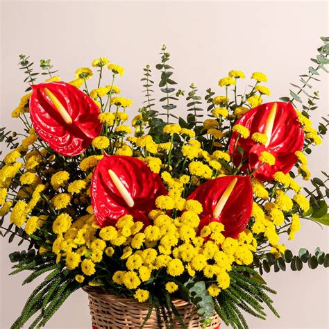 Anthurium Yellowdrama – Simply Phoolish