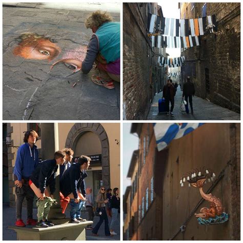 Image result for Python Siena