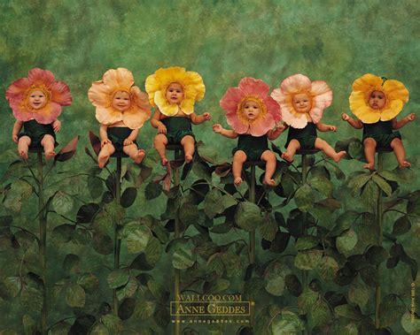 🔥 Free Download Anne Geddes Baby Photography Newborn by @stevet78 ...