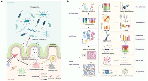 Omics Introduction 的图像结果