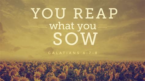 You Reap What You Sow – University Church of Christ