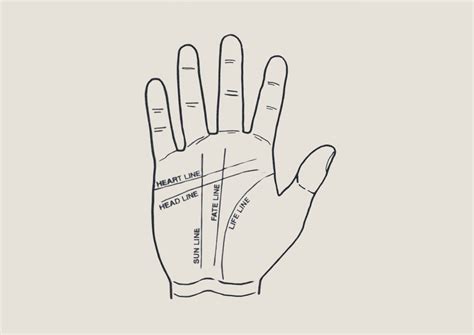 Palmistry Hand Guide: What Your Hand Lines Say About Love, Career ...