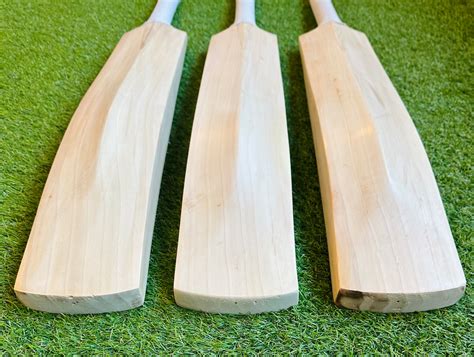 Plain Custom Grade 2 Cricket Bat | Duckbill Profile – DKP Cricket
