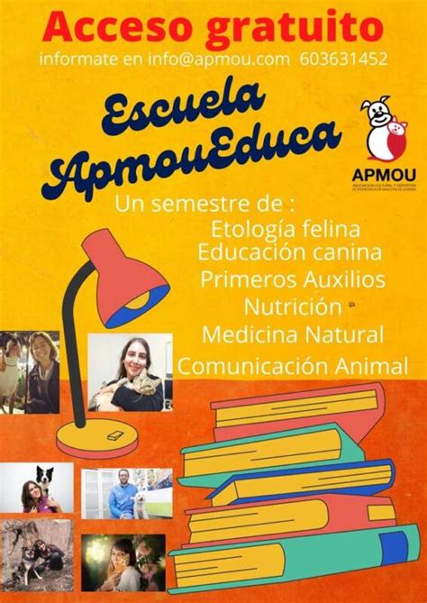 Nuevo Semestre en la Escuela APMOU Educa - APMOU