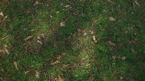 Forest Floor Texture Seamless