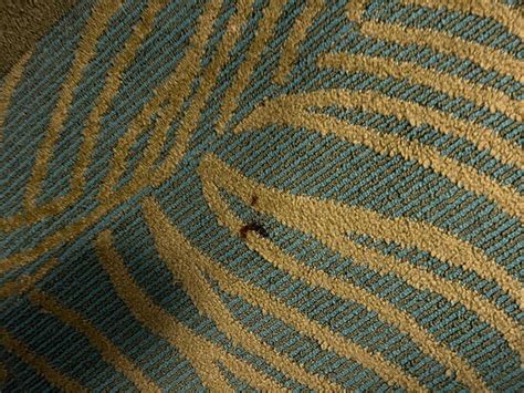 KINGS INN & SUITES MASON (Ohio) - Hotel Reviews, Photos, Rate ...