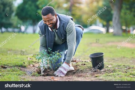 Plant Community 的图像结果