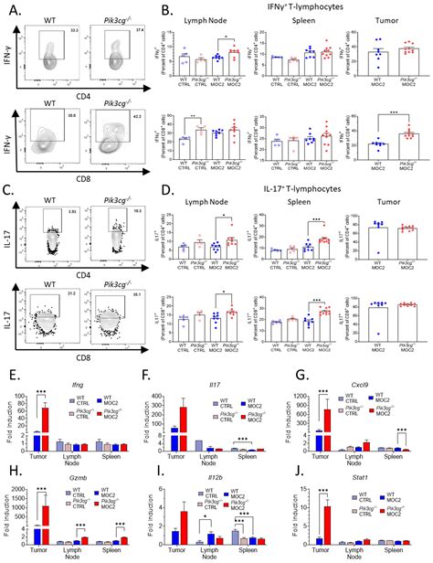Inhibition of PI3K Isoform p110γ Increases Both Anti-Tumor and ...