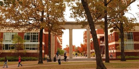 ECU Online Graduate Programs 的图像结果