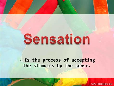 Image result for Sensation and Perception Examples