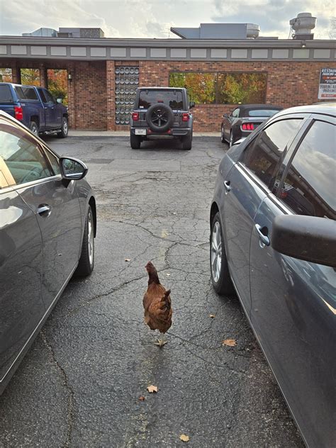 Walworth county scanner | Facebook