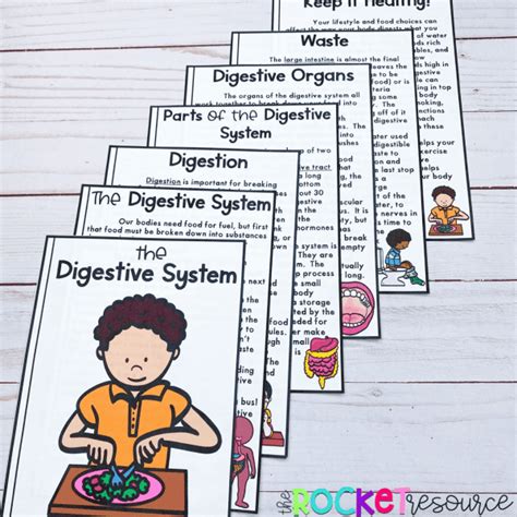 Image result for Digestive System Fun Activities