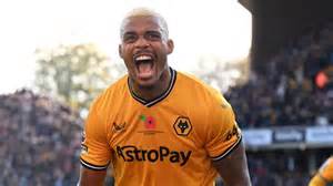 Image result for Wolves Footballl