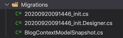 C# Entity Framework Core Code First 的图像结果