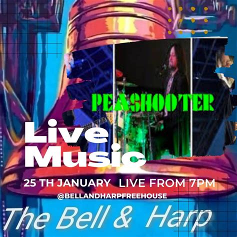 Peashooter Live at Bell & Harp Freehouse, The Bell & Harp, Belper, 25 ...