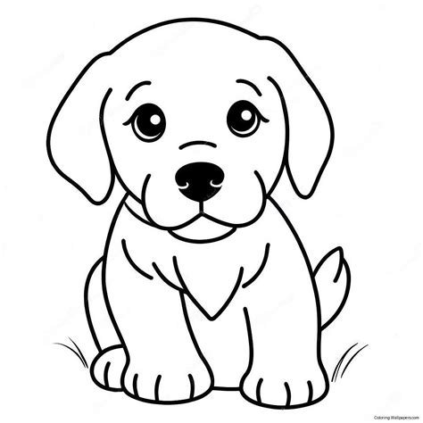 Golden Retriever Puppy Coloring Page (700-560)