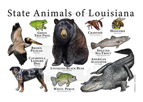 Louisiana State Animal
