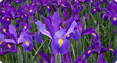 Redmi Note9 的图像结果