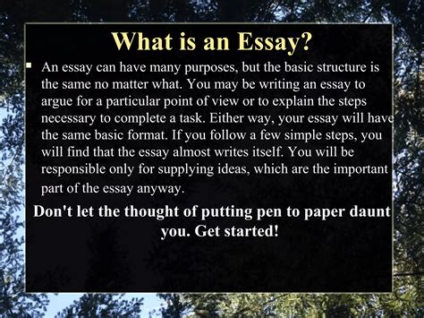 Basic Essay Example 的图像结果